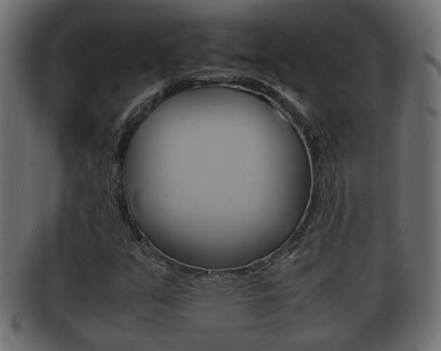 X0000092331351200709141109
