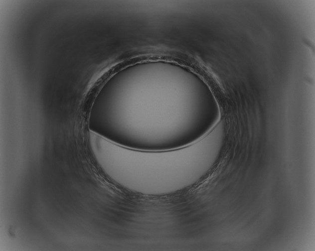 X0000092331352200709141109