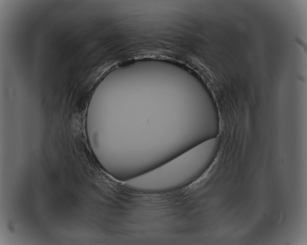 X0000092331353200709141109
