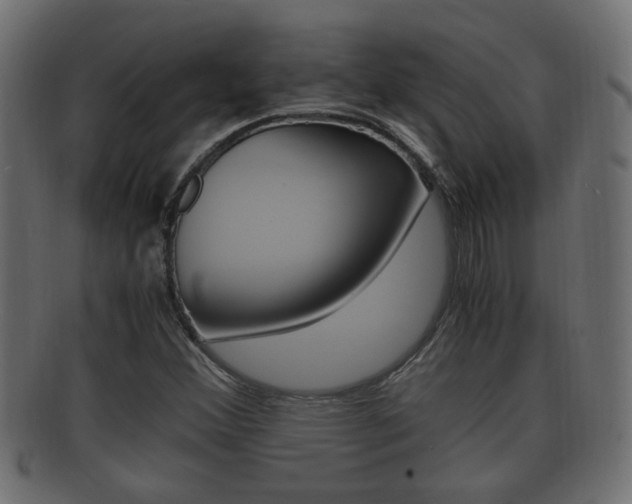 X0000092331356200709141109