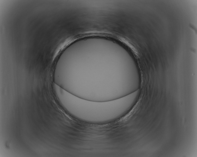 X0000092331357200709141109