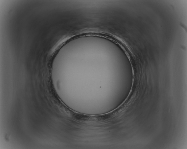 X0000092331359200709141109