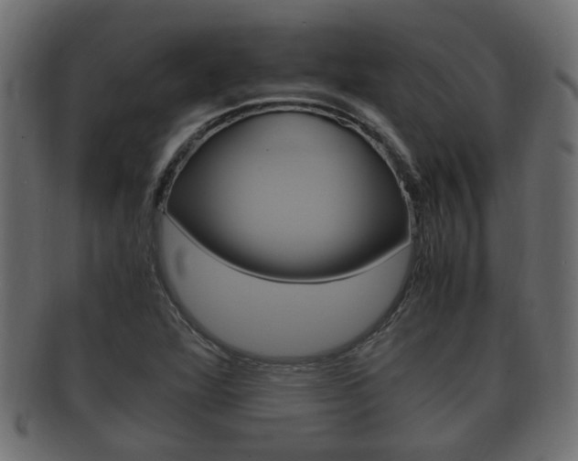 X0000092331360200709141109