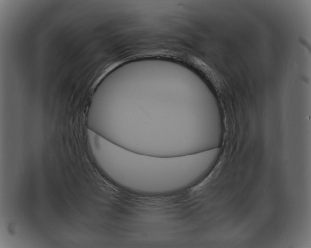 X0000092331361200709141109