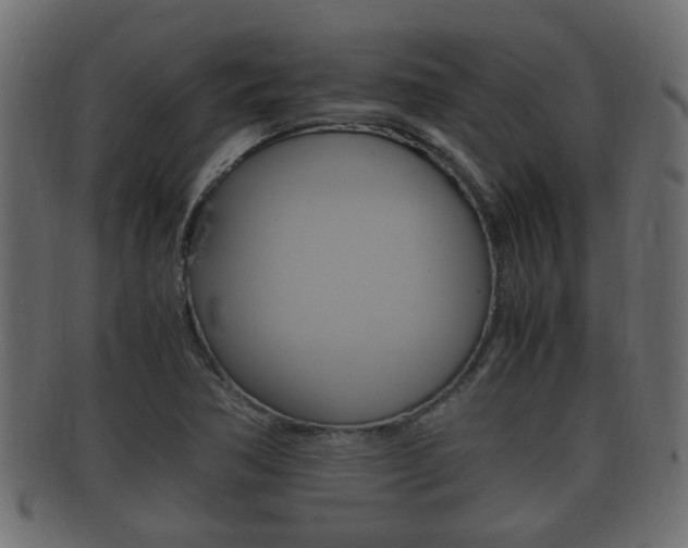 X0000092331362200709141109