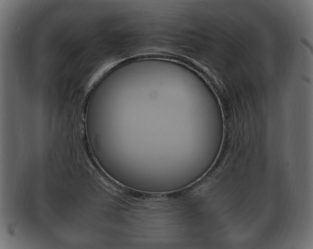 X0000092331363200709141109