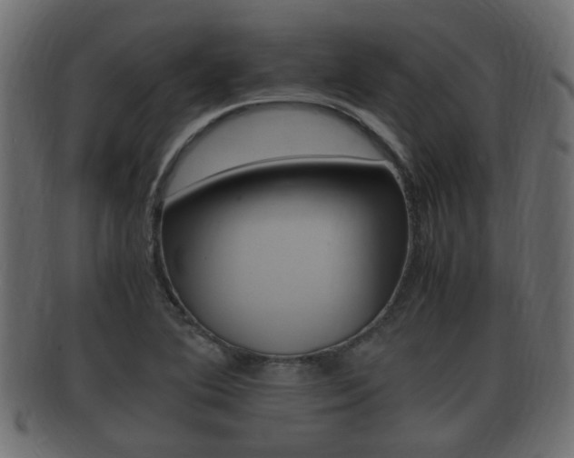 X0000092331364200709141109