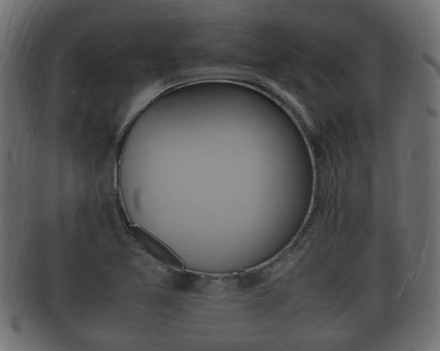 X0000092331365200709141109