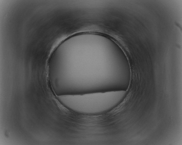 X0000092331366200709141109