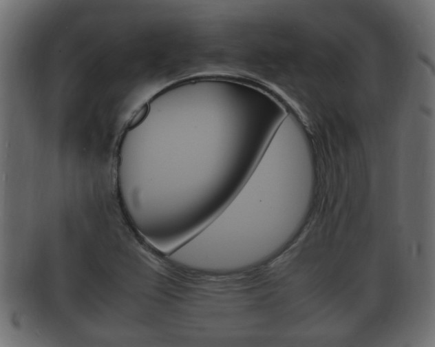 X0000092331367200709141109