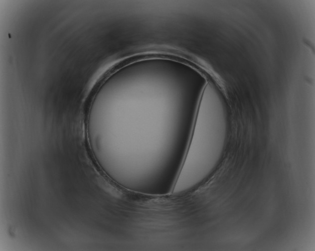 X0000092331368200709141109