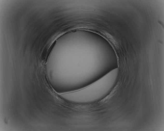 X0000092331369200709141109
