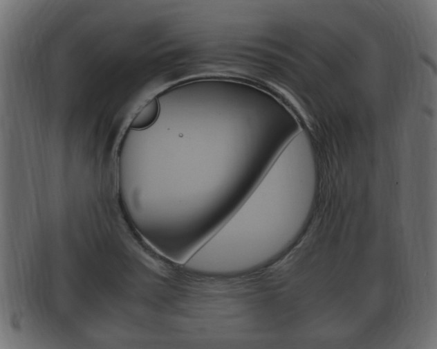 X0000092331371200709141109
