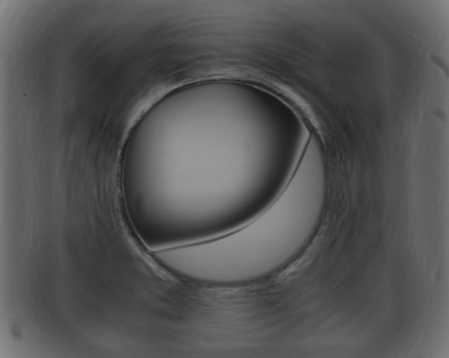 X0000092331373200709141109
