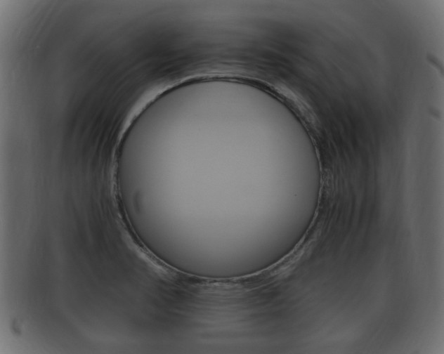 X0000092331374200709141109