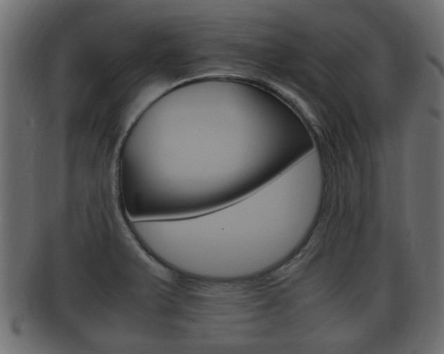 X0000092331375200709141109