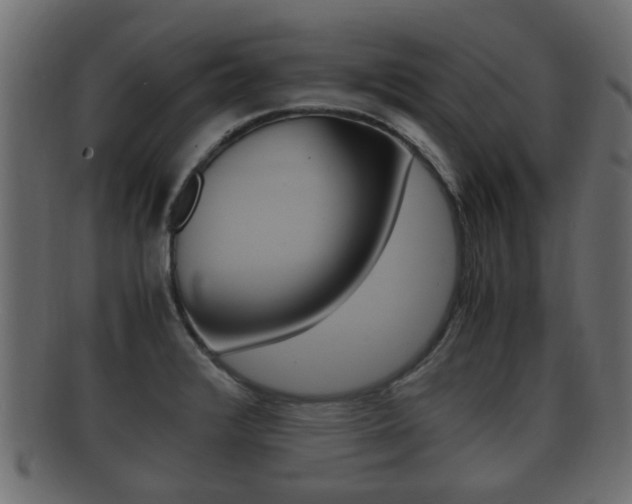 X0000092331376200709141109