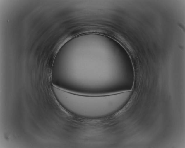 X0000092331377200709141109
