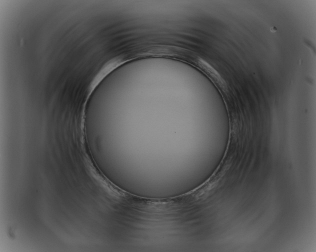 X0000092331378200709141109
