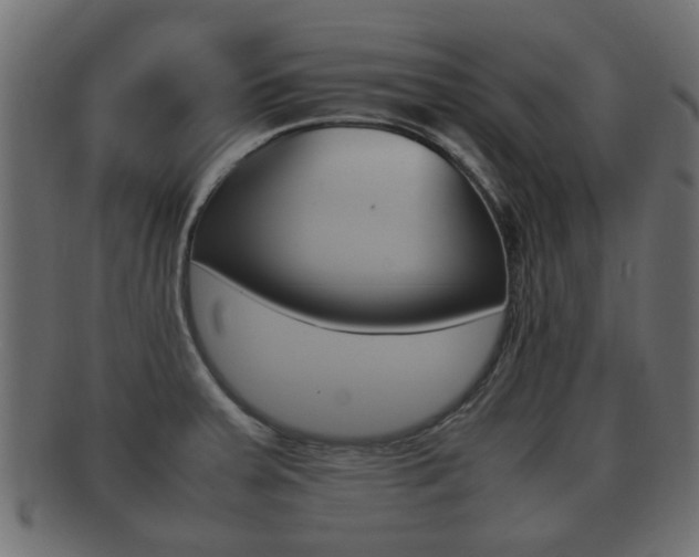 X0000092331379200709141109