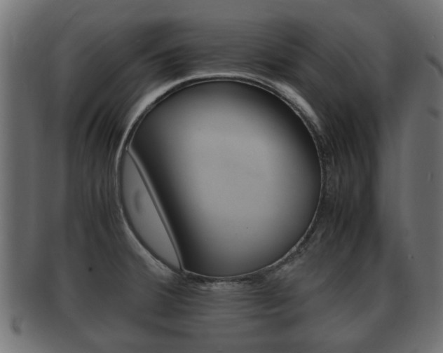 X0000092331380200709141109
