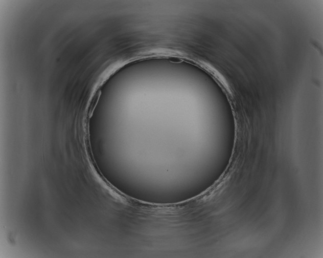 X0000092331381200709141109