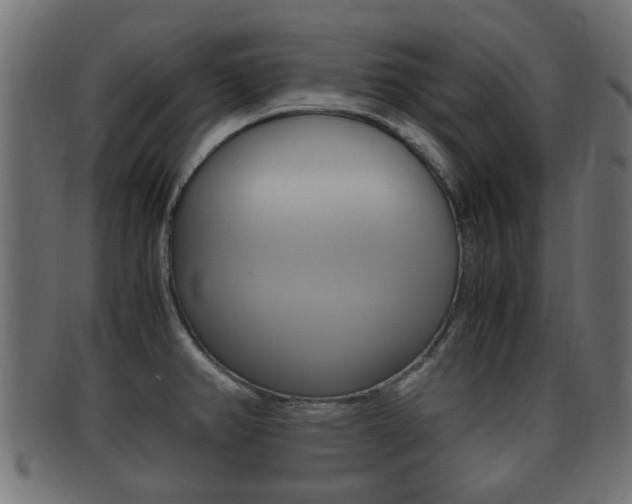 X0000092331382200709141109