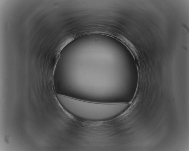 X0000092331385200709141109