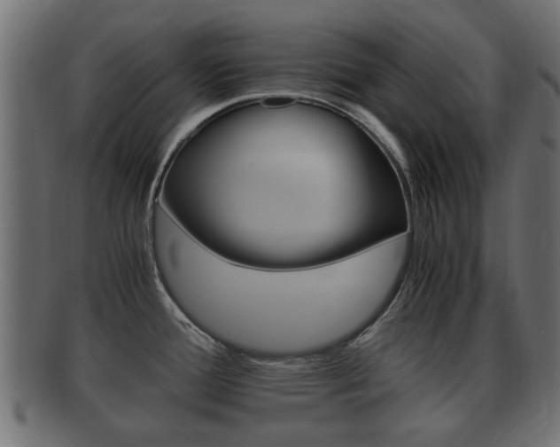 X0000092331388200709141109