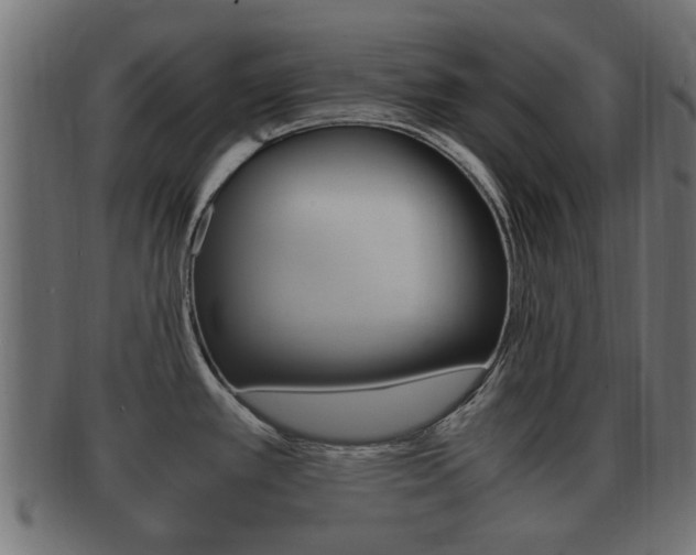 X0000092331389200709141109