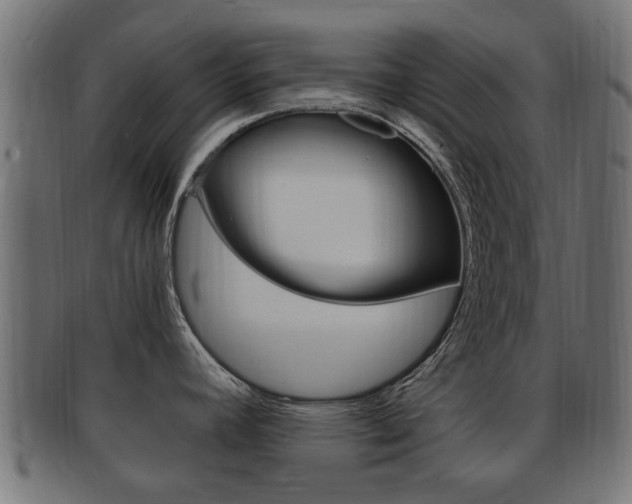 X0000092331392200709141109