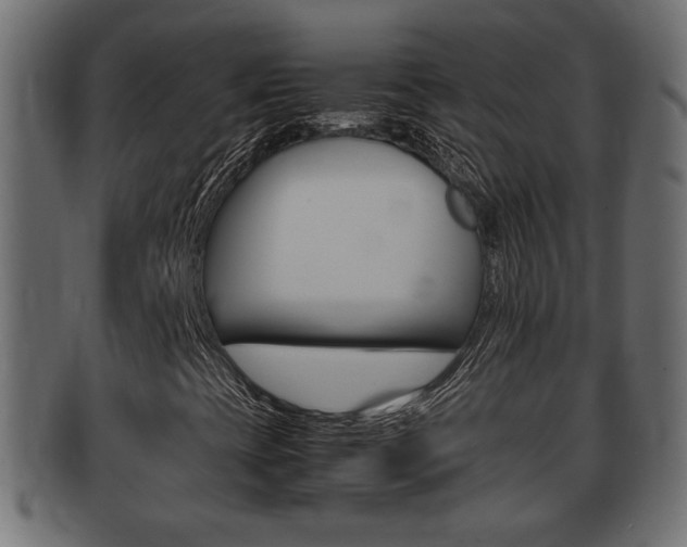 X0000092331393200709141108