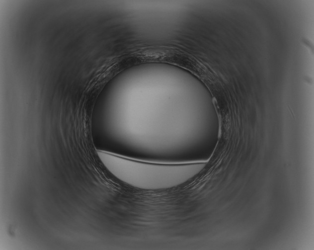 X0000092331394200709141108