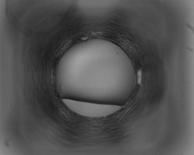 X0000092331395200709141108