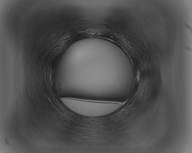 X0000092331396200709141108