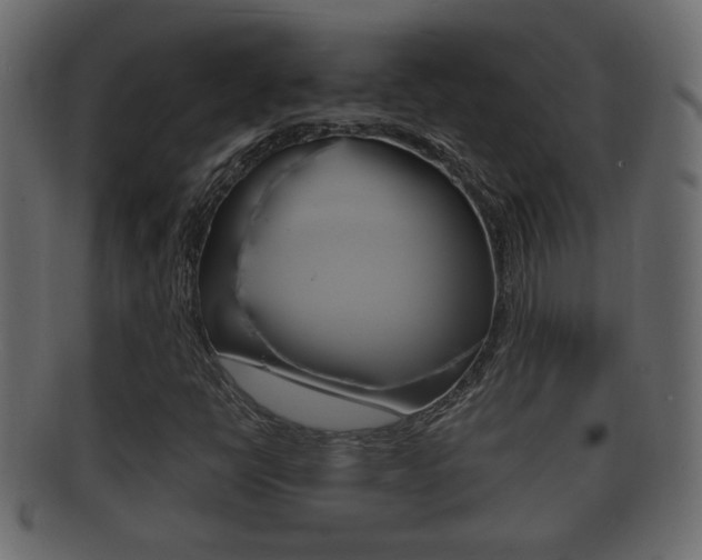 X0000092331398200709141108