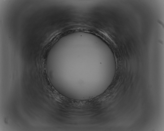 X0000092331399200709141108