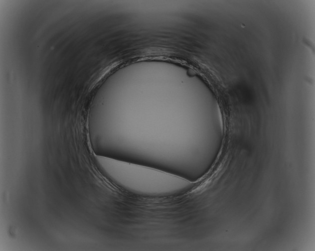 X0000092331401200709141108