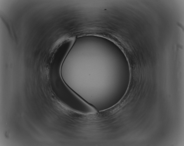 X0000092331402200709141108