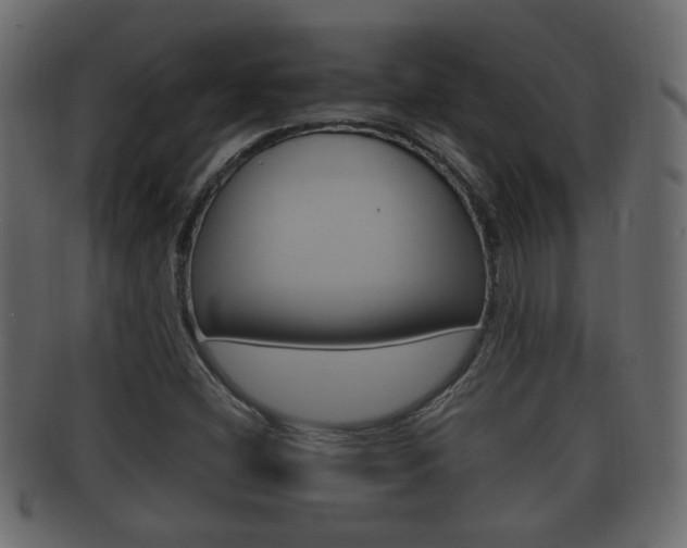 X0000092331404200709141108