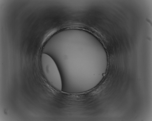 X0000092331405200709141108