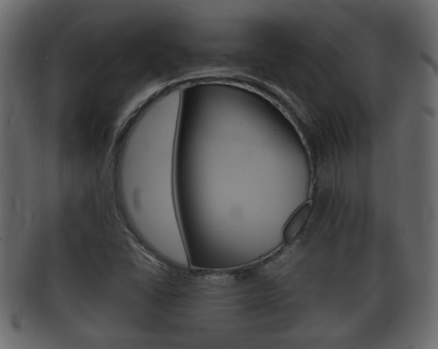 X0000092331406200709141108