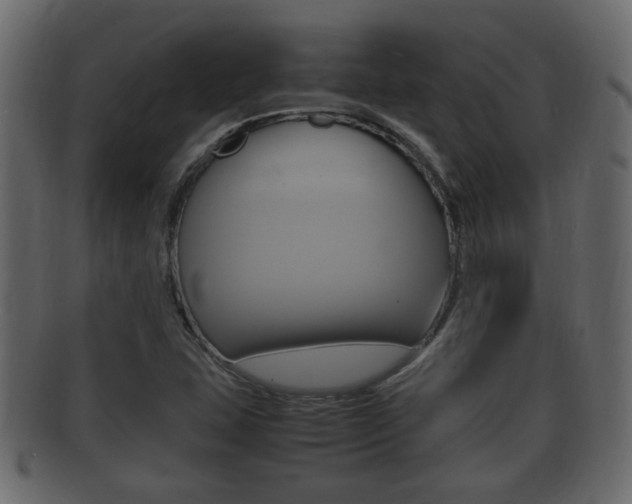 X0000092331407200709141108