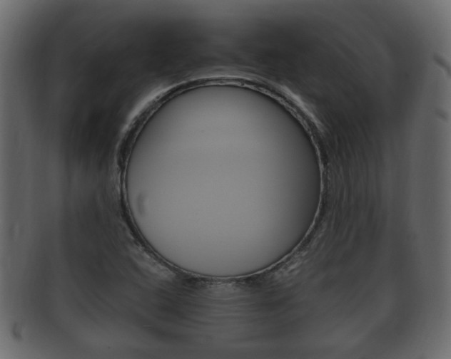 X0000092331408200709141108