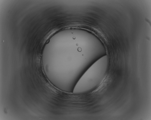 X0000092331409200709141108