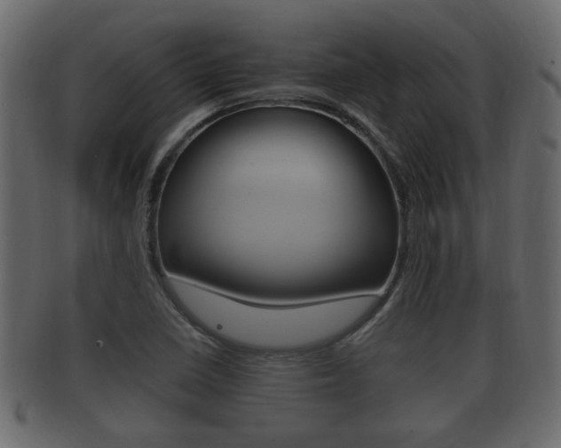 X0000092331410200709141108