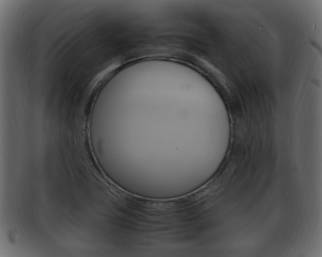 X0000092331411200709141108