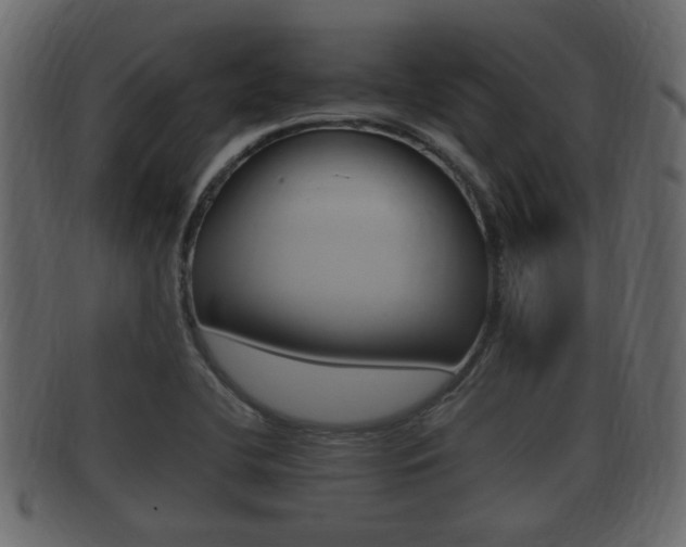 X0000092331412200709141108