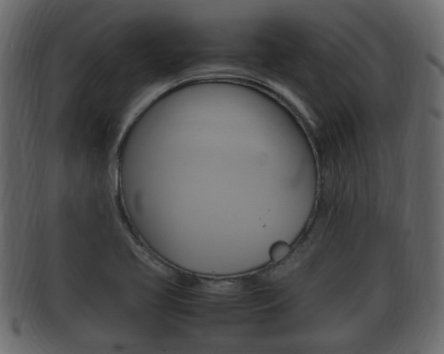 X0000092331413200709141108