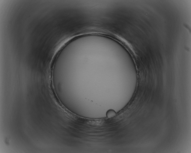 X0000092331415200709141108